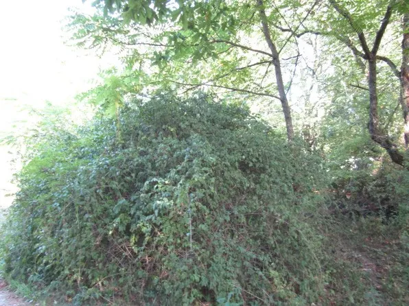 0 Douglass Rd, Beaver Falls, PA 15010