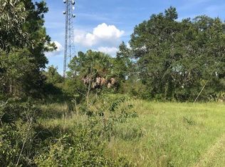 19491 Jody Morgan Rd S, Perry, FL 32348