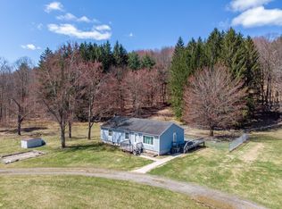 193 Fenner Hill Rd, Pt Crane, NY 13833