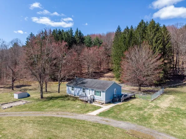 193 Fenner Hill Rd, Pt Crane, NY 13833