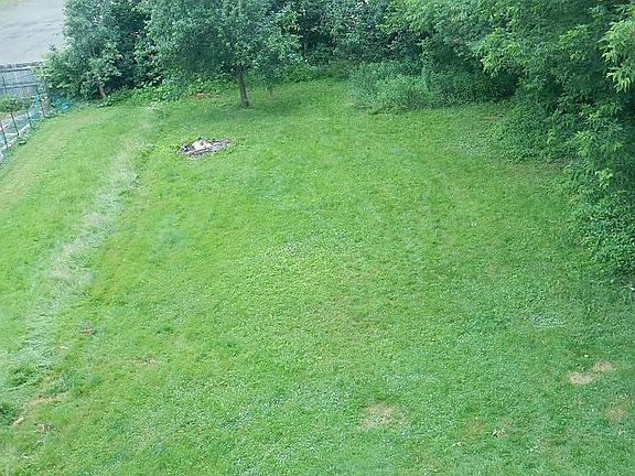 Back yard