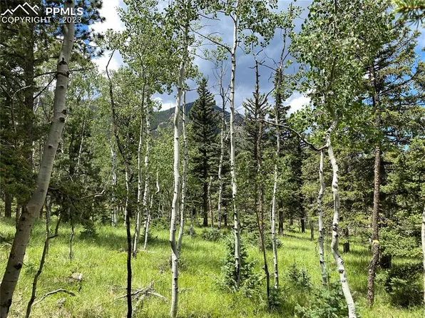 179 Summit Rd, Manitou Springs, CO 80829