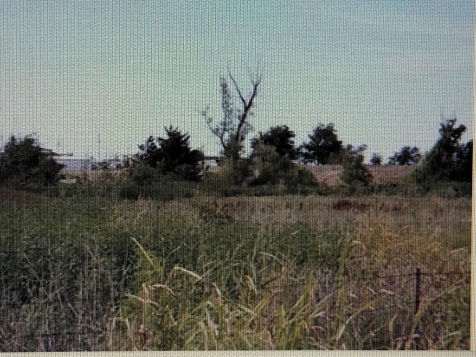 2nd image of 1 SE Sunnyside Dr Lot 4