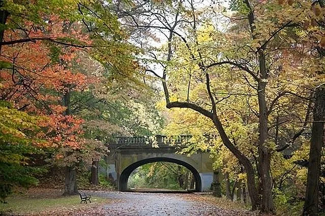 Edgewood Park in Autumn