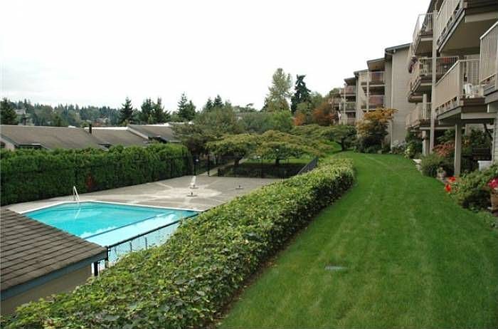 View of Pool from Patio