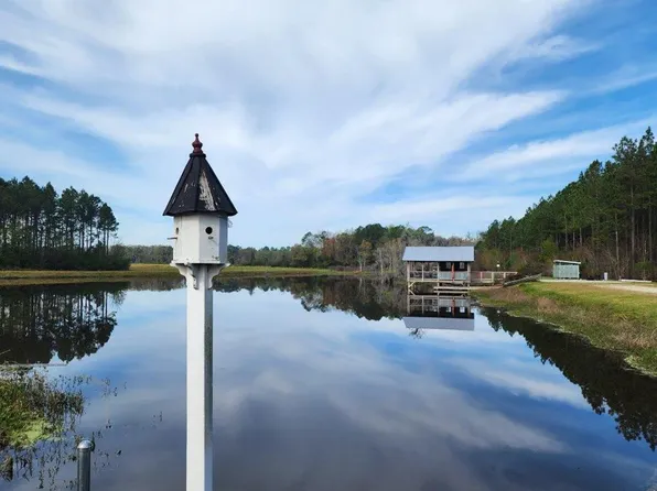 614 Blue Sow Branch Ln, Nashville, GA 31639