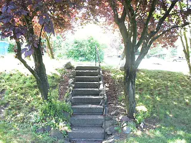 front yard before fence