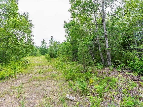 2nd image of 2 Niagara Rd Lot 14
