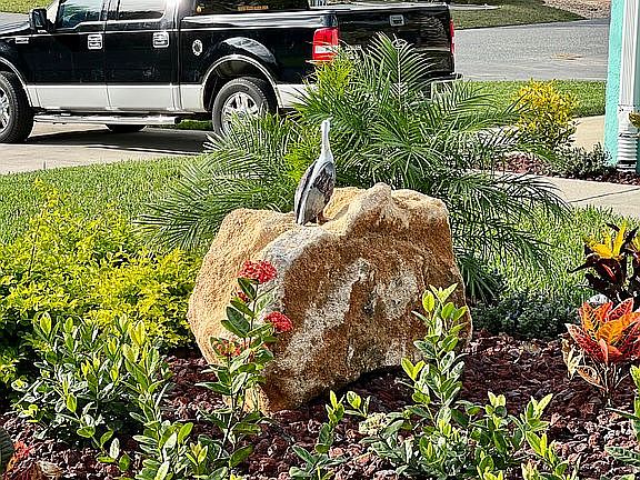 Front Yard Island