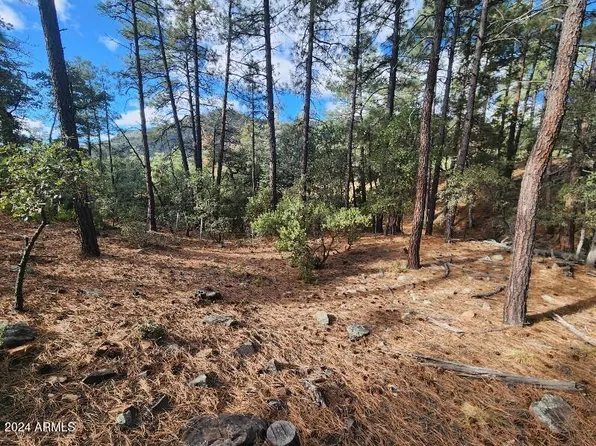 000 N Sundown Lane Lane #104, Pine, AZ 85544