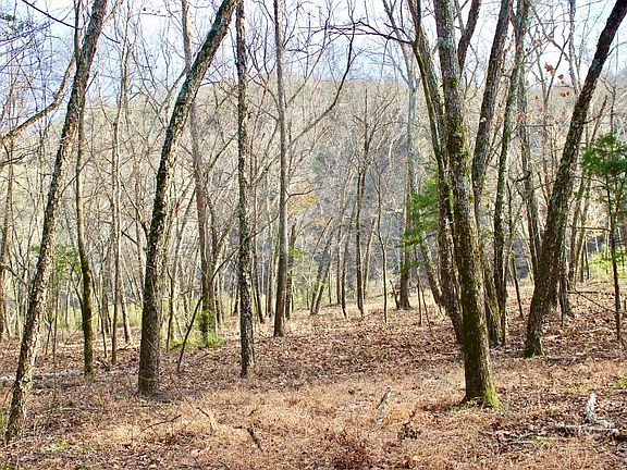 4th image of County Road 231
