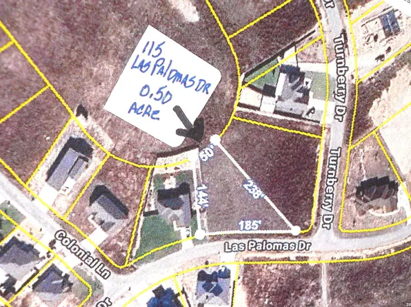 115 Las Palomas Dr LOT 101, La Vernia, TX 78121