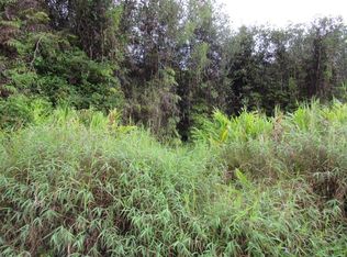 Holana St LOT 127, Volcano, HI 96785