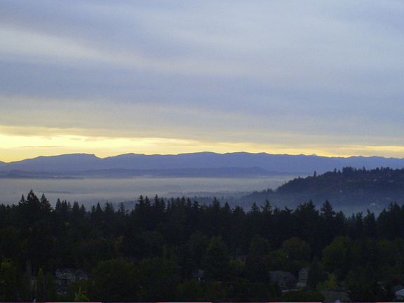 Willamette view from patio.