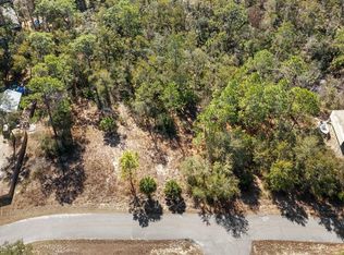  Kings Creek Cir, Steinhatchee, FL 32359