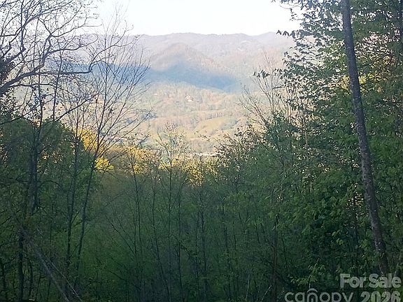 2nd image of 3355 Utah Mountain Rd #3-F