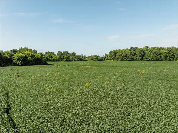 Sycamore Rd, Centerburg, OH 43011