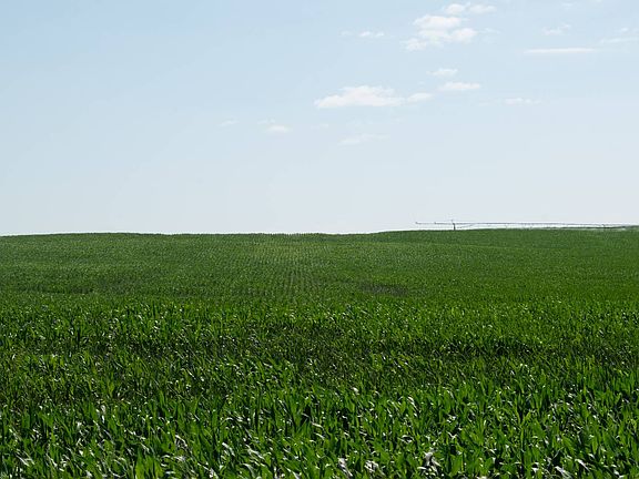 5th image of 0 Road 755