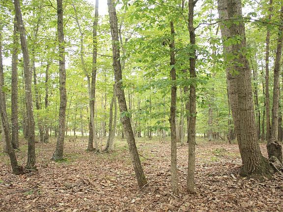 3rd image of 1343 Fescue Cir