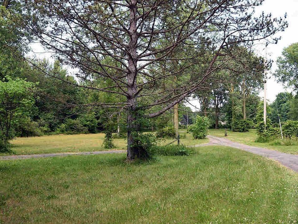 2nd image of 9635 Douglas Rd