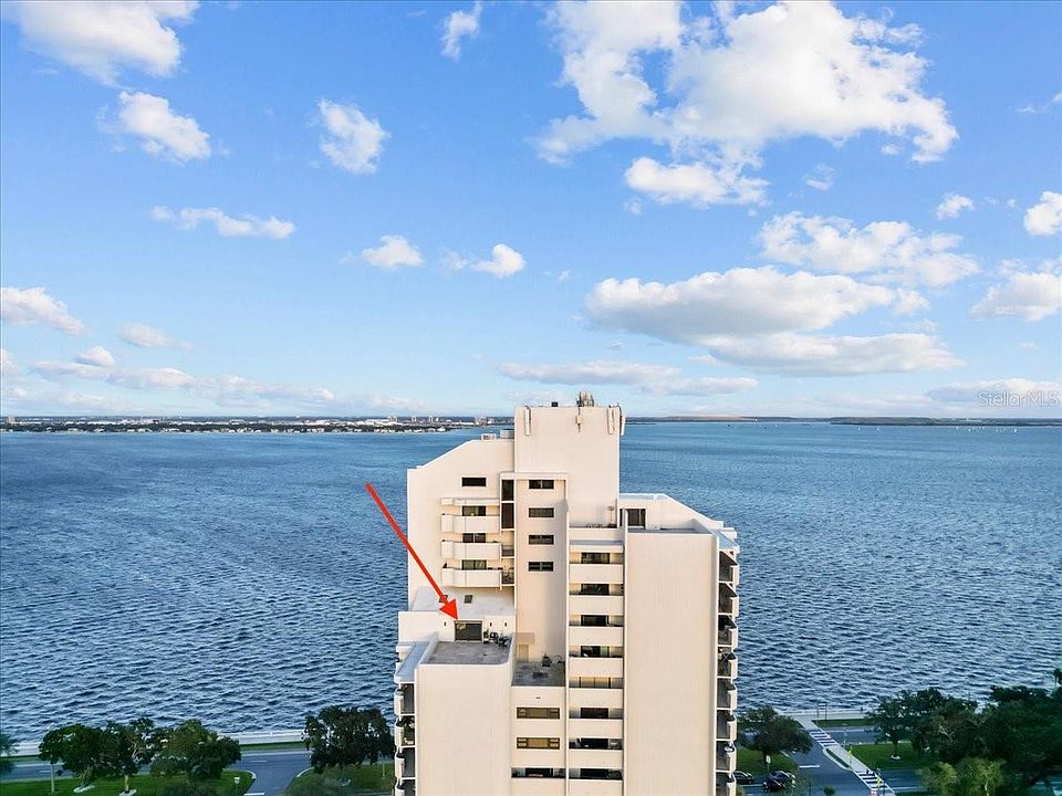 1st image of 4141 Bayshore Blvd APT 1701