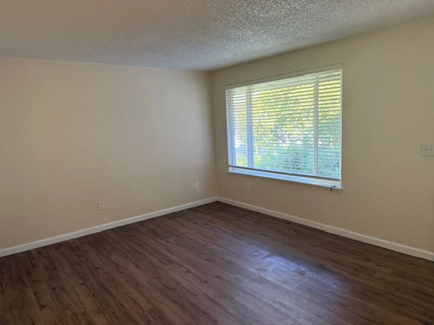 1126 Neil Street NE — Photo 2