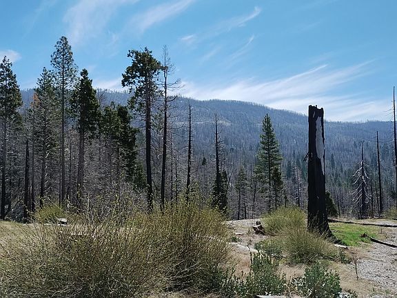 5th image of 52209 Redwood Drive