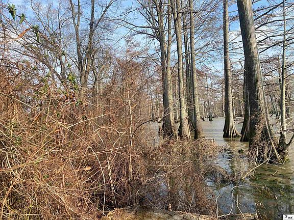 2nd image of 0 Bonne Idee Hideaway Rd