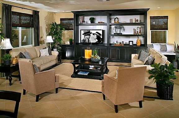 Traditional Living room with entertainment center