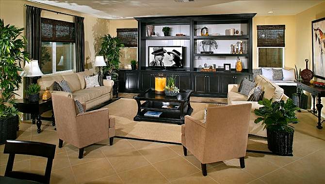 Traditional Living room with entertainment center