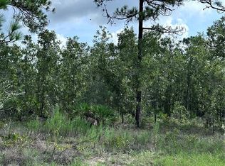 Scaup Duck Ave, Weeki Wachee, FL 34614