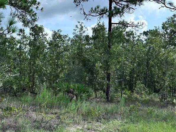 Scaup Duck Ave, Weeki Wachee, FL 34614