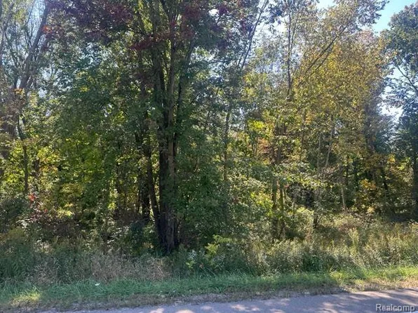11605 Andersonville Rd, Davisburg, MI 48350