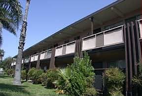 1st image of 250 W Jackson St APT 13