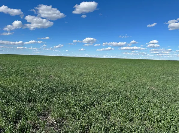 No Name, Havre, MT 59501