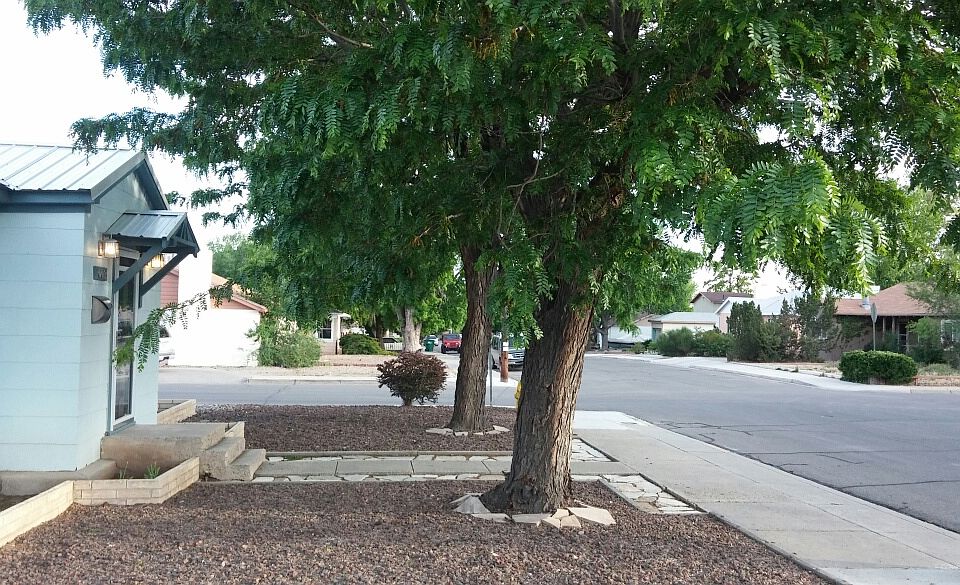 1st image of 1002 N Loma Linda Ave