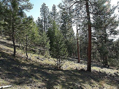 2nd image of 1839 Mountain Meadow Ln