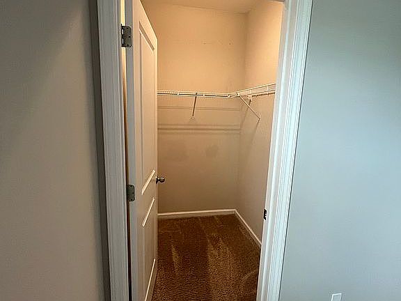 5th image of 27 Pindo Palm Dr