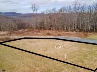 9 Hobbits Ln, Bruceton Mills, WV 26525
