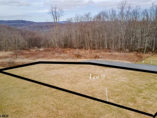 9 Hobbits Ln, Bruceton Mills, WV 26525