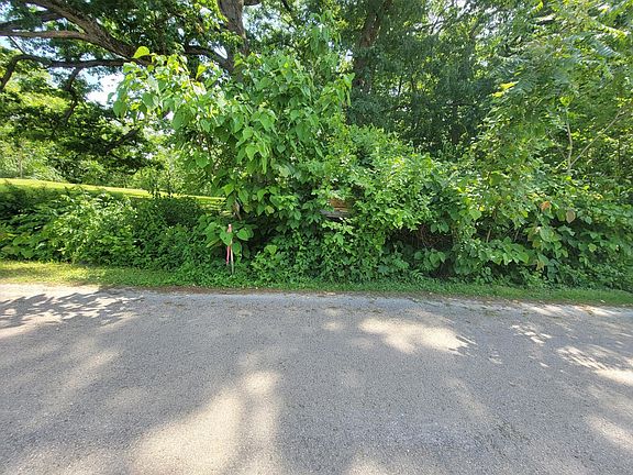3rd image of 375 Woodruff Ave