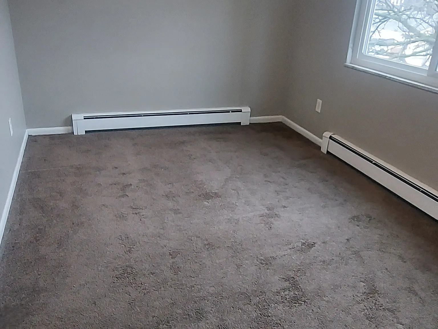 1 bed, 650 sqft, $1,000 — Photo 3