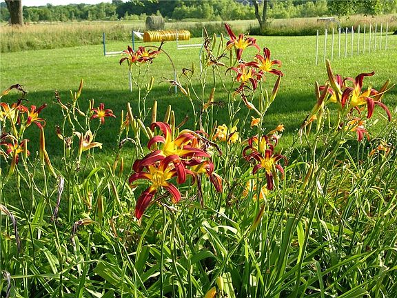 5th image of 23119 Pawnee Rd