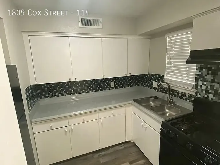 1729 Cox St — Photo 593