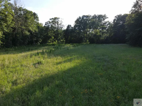 County Road 4561, Bivins, TX 75555