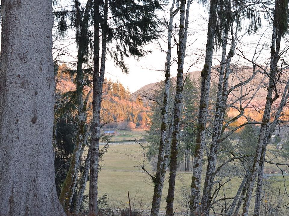 Living room view