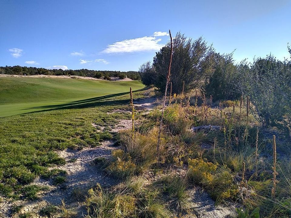 1st image of 3555 Saddle Dr