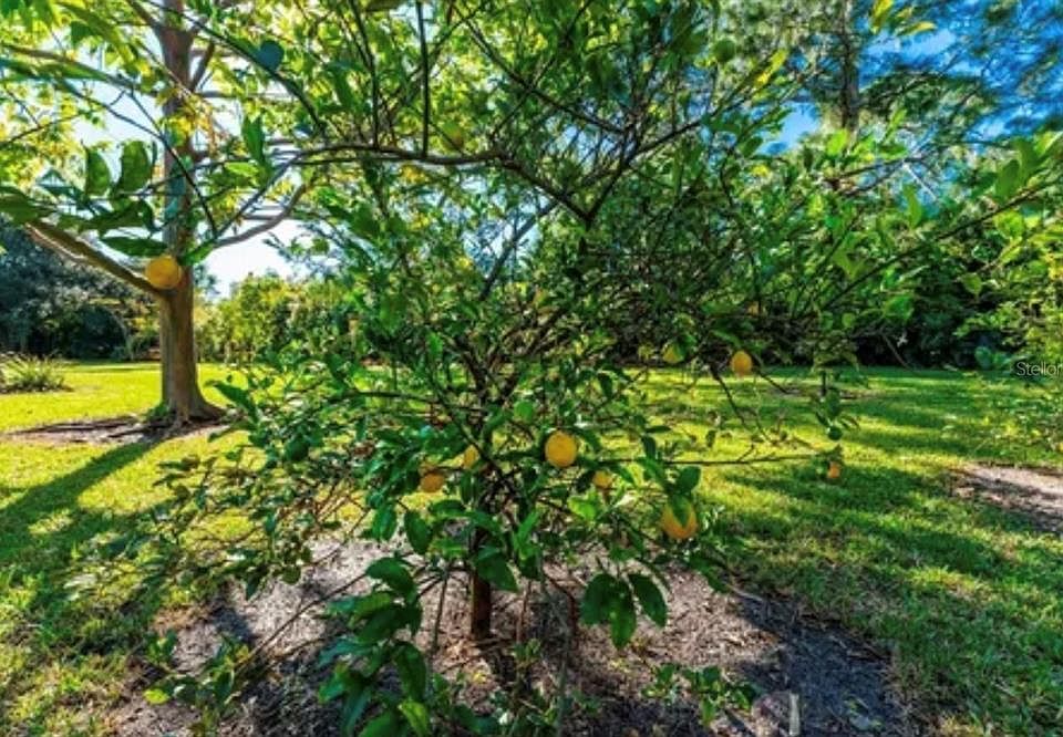 2nd image of 25271 Roland Ln #42