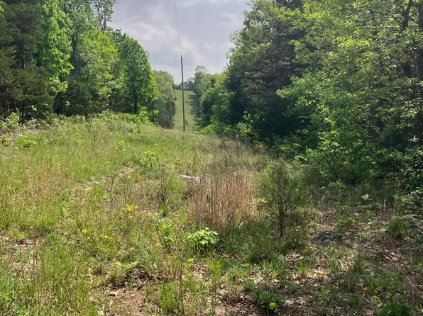 000 County Road V-234, Drury, MO 65638
