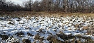 5th image of 7687 Ravenna Rd